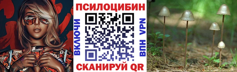 Купить  Вичуга  Галлюциногенные грибы MAGIC MUSHROOMS 